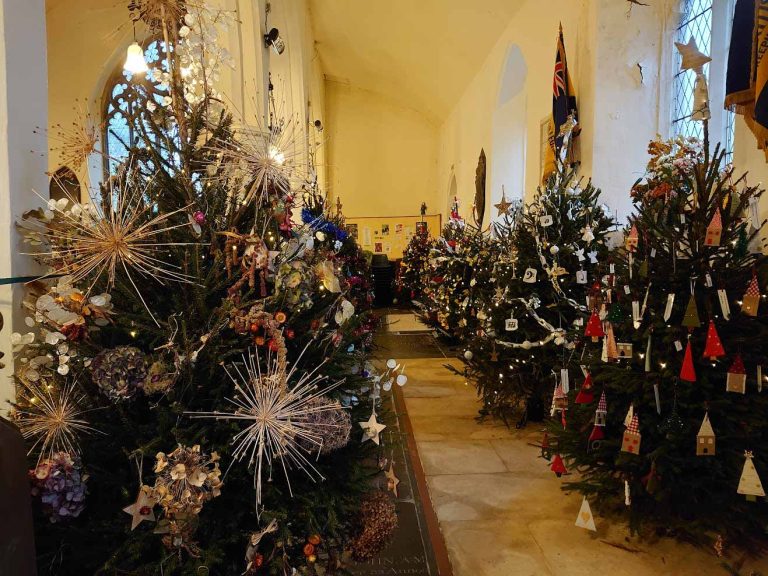 Christmas Tree Festival